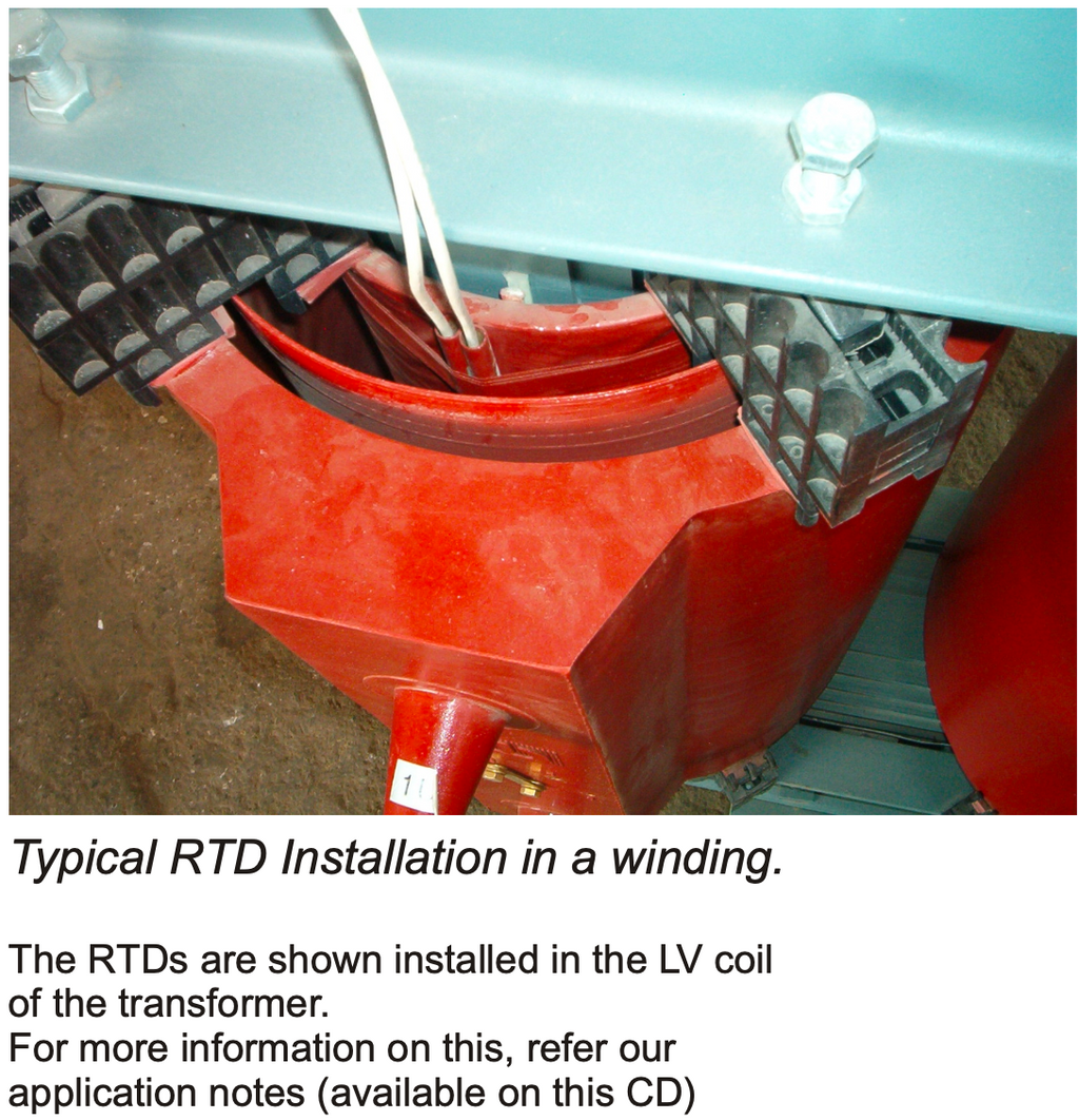 RTD S-02 Pt-100 Sensor