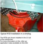 RTD S-02 Pt-100 Sensor
